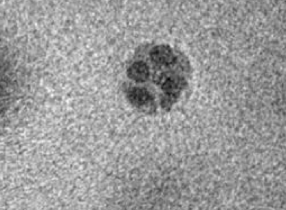 Iron oxide dendrite at 0.1 seconds