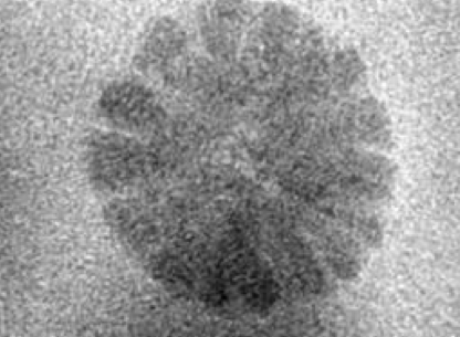 Iron oxide dendrite at 75.7 seconds